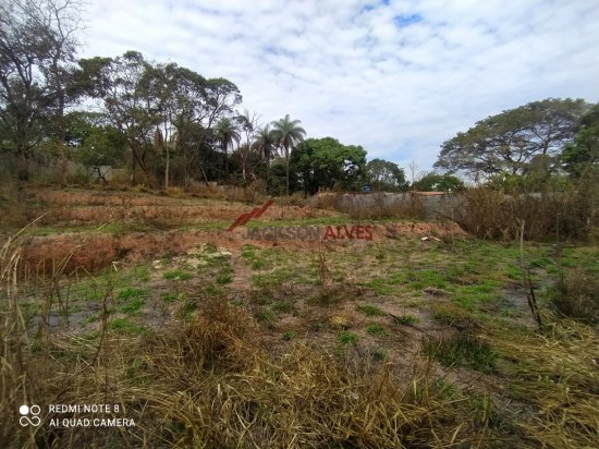 lote-venda-bandeirinhas-betim-541457